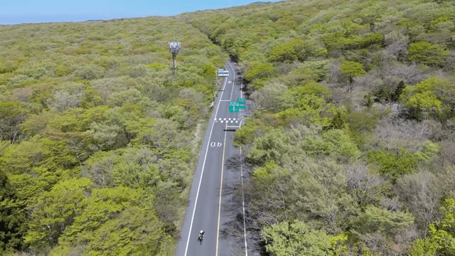 푸른 숲을 가로지르는 도로