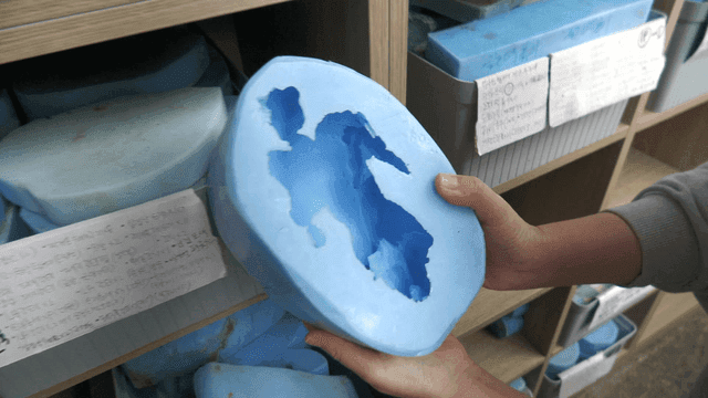 Hands examining a blue mold in a shelf