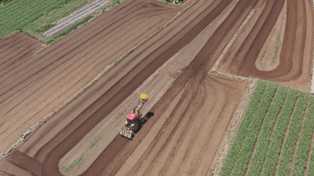 넓은 농장에서 일하는 트랙터