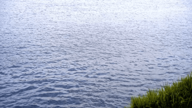 잔잔한 물결과 풀밭이 있는 강