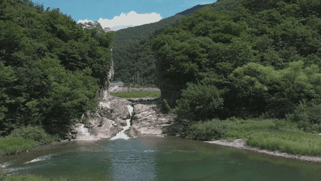 Small waterfall in quiet river flowing through green forest