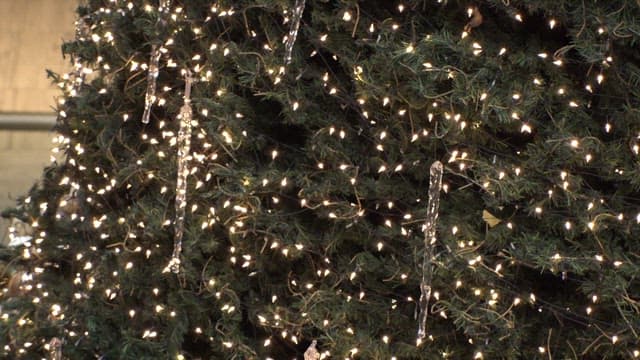 Bokeh Effect Created by Lights on Christmas Tree