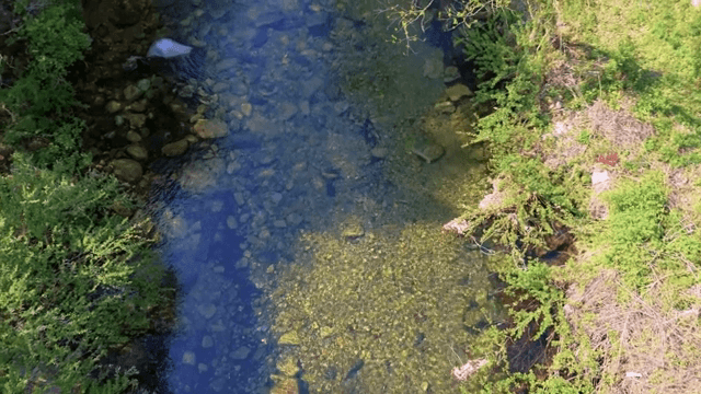 푸른 초목 사이로 흐르는 맑은 강