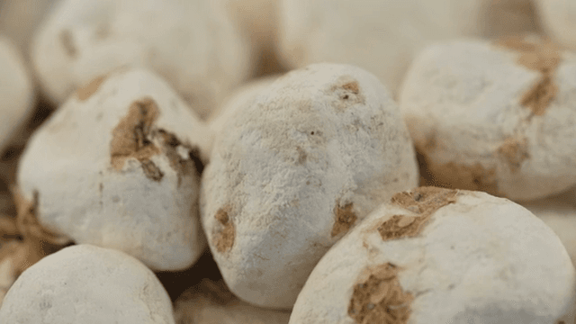 바구니에 담긴 동결 건조된 감자 더미