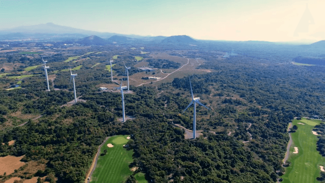 넓은 녹지에 있는 풍력 터빈