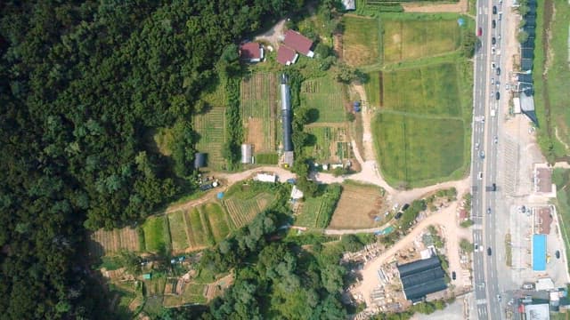 푸른 숲과 싱그러운 농경지의 항공 뷰