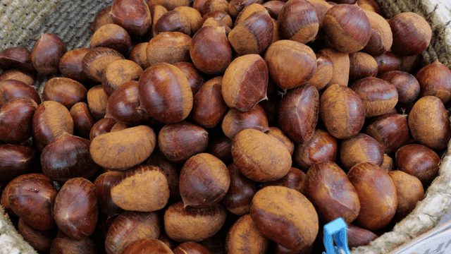 Basket full of fresh chestnuts