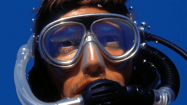 Diver surprised to see whale with air bubbles
