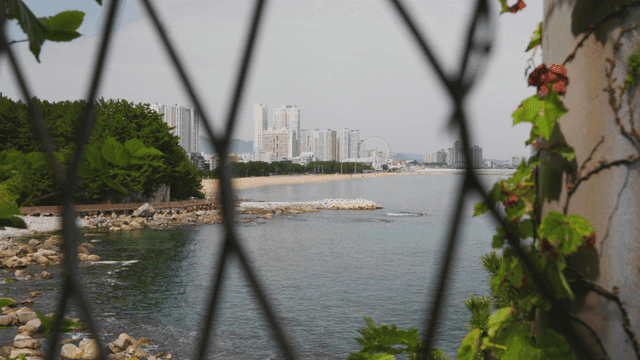 관람차가 있는 도시 배경의 해변