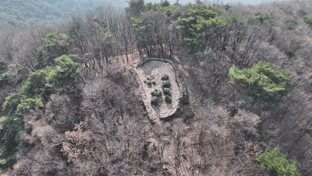 Aerial view of forest with pile of rocks