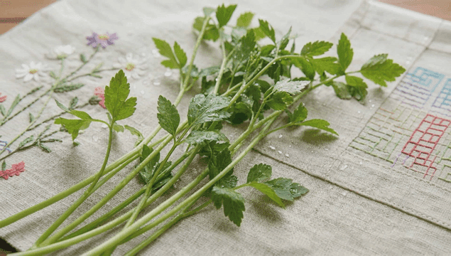자수 천 위의 신선한 미나리