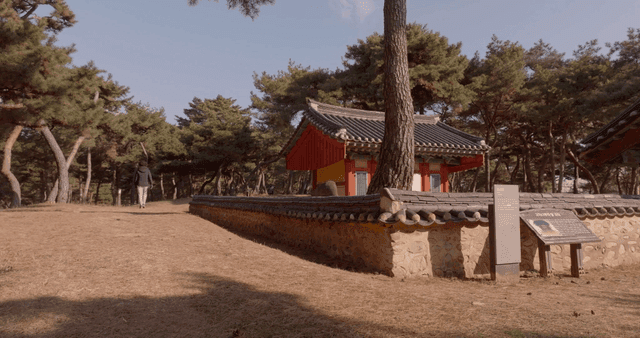 Traditional Korean building in a forest