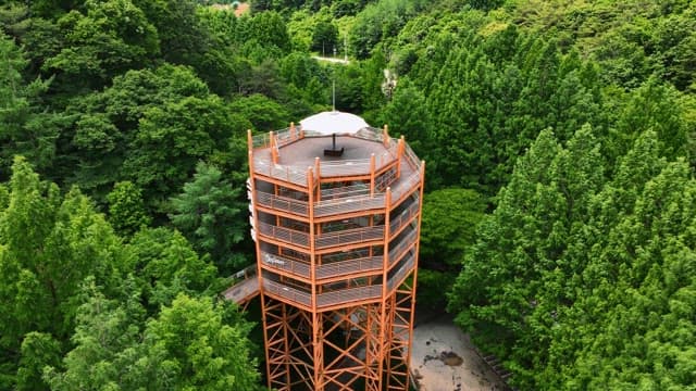 푸른 숲 속에 있는 높은 전망대