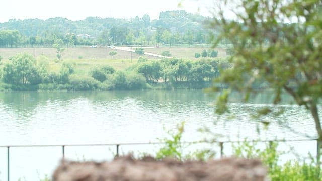 강가에 놓인 바구니 속 버섯