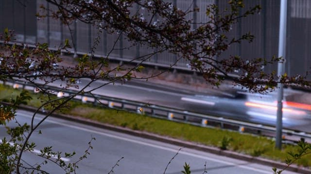 Cars speeding on a road at night