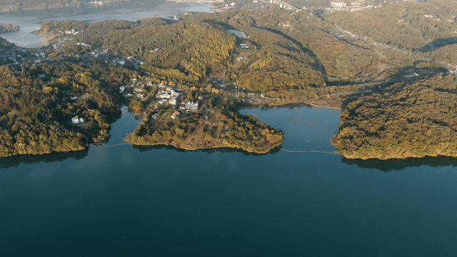 나무로 둘러싸인 강 경치