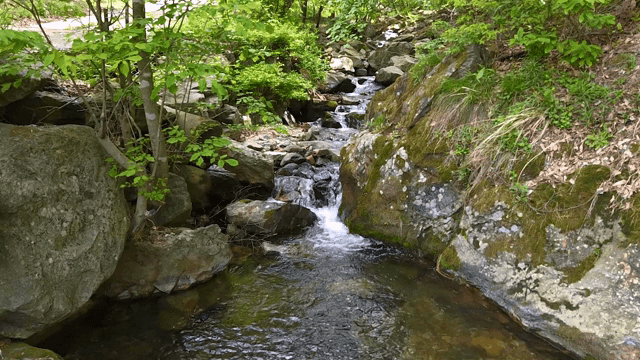 바위 사이로 흐르는 고요한 시냇물