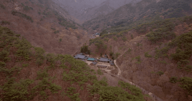 산속에 자리한 전통 사찰
