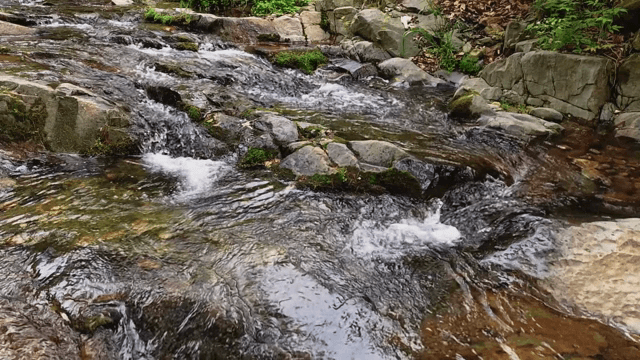Serene stream flowing over rocks