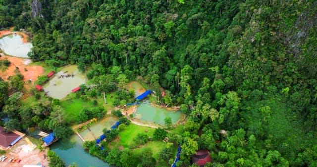 Aerial View of a Lush Tropical Retreat