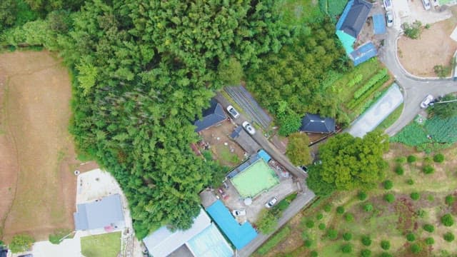 Rural village surrounded by lush greenery