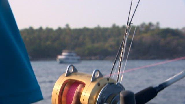 배 위의 낚싯대와 물고기가 있는 바다 풍경