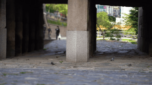 Pigeons under stone archway