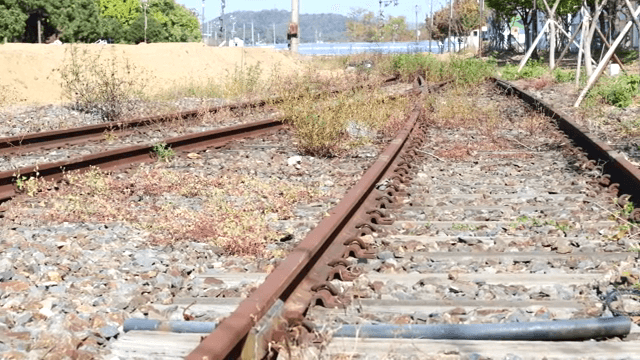 잡초가 무성한 오래된 철도