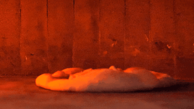 Pizza baked in traditional wood-fired oven