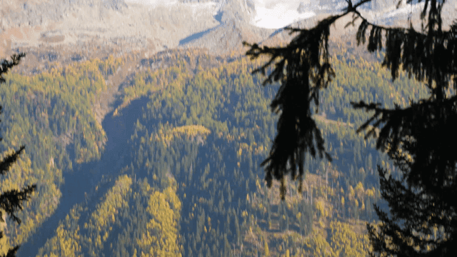 Mountain peaks with clouds and forest