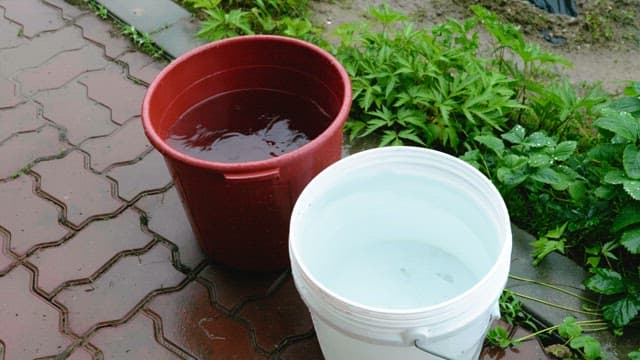 Buckets of rainwater placed on a pavement block near the grass