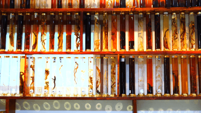 Displayed Old Infusion Liquors