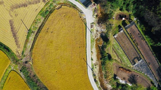 들판과 온실이 있는 농촌 풍경