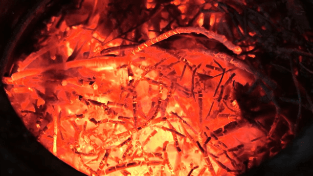 타오르는 불씨와 빛나는 나뭇가지