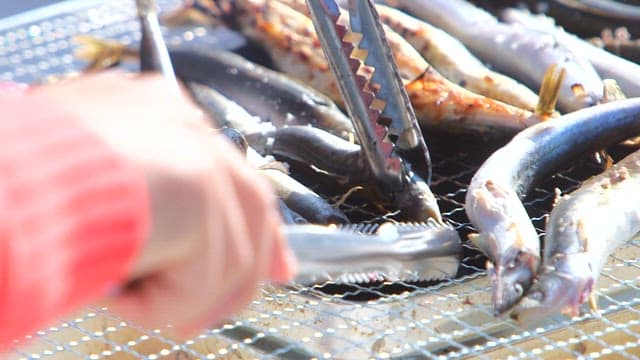 바비큐 그릴에서 노릇노릇하게 양미리 굽기