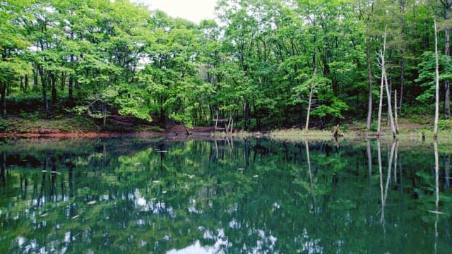 Green forests and mountains surrounding the tranquil Dorongi Pond