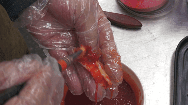 Craftsman coloring kimchi model with brush