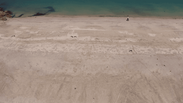 고요한 해변을 걷는 사람