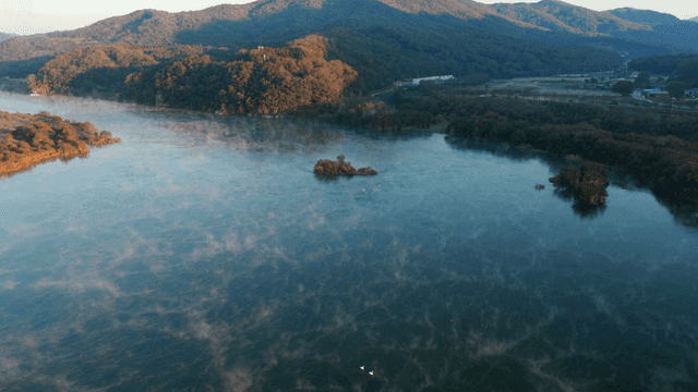 아침 안개가 낀 고요한 강
