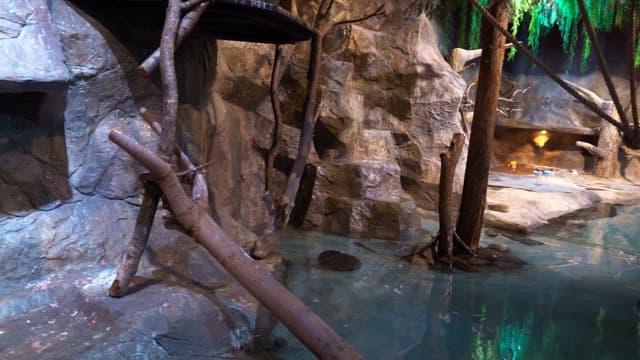 Birds resting in a enclosure surrounded by rocks with a small pond