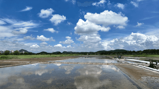 Wide salt fields under clear sky
