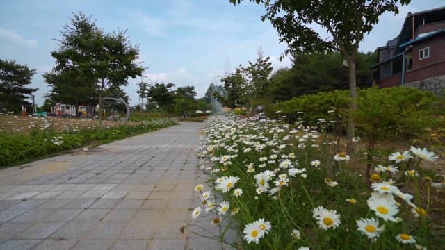 평화로운 공원과 만개한 데이지