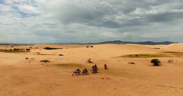 A group riding camels in a vast desert