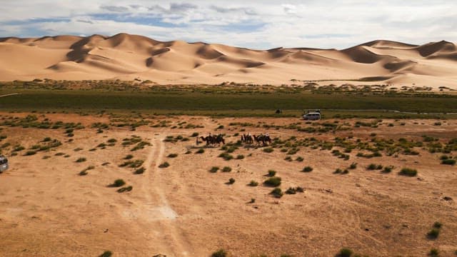 Camels and people in a vast desert