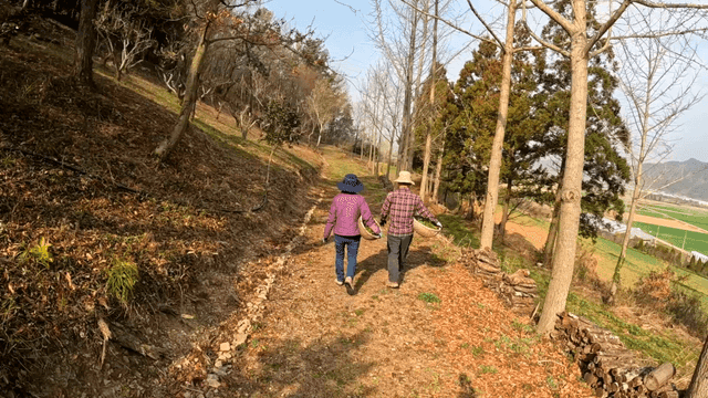 Backs of two farmers walking along country road