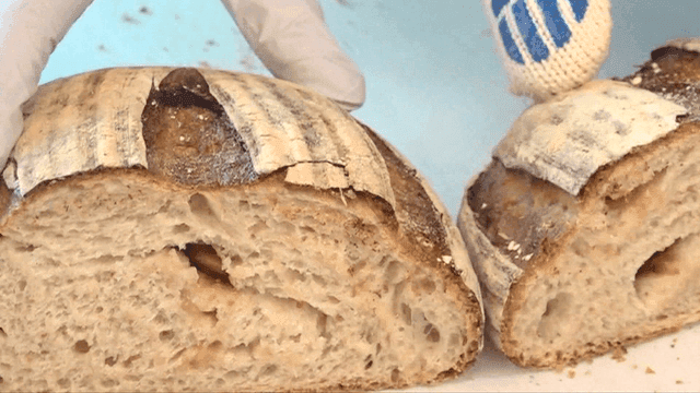 갓 구워진 사워도우의 김이 나는 단면