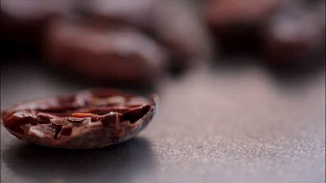 Brown roasted cocoa beans