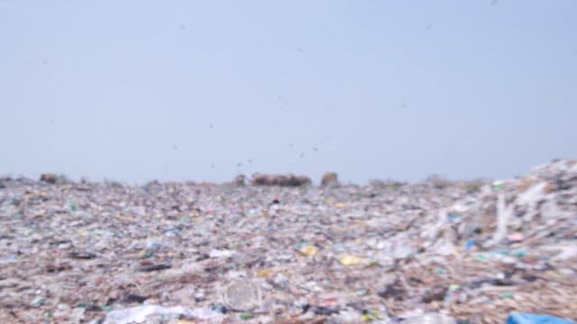 A landfill site with scattered garbage and birds