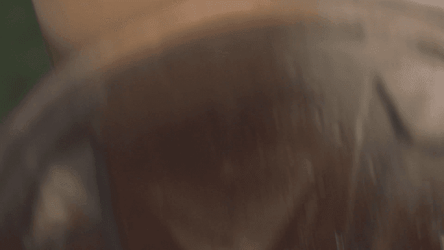 믹서기에 옮겨지는 참깨