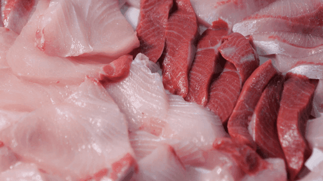 Fresh yellowtail sashimi on plate